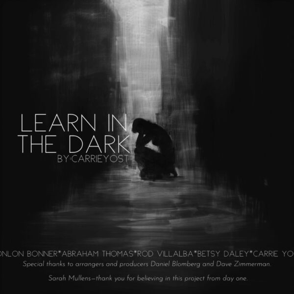 Learn in the Dark- (2 Copies)